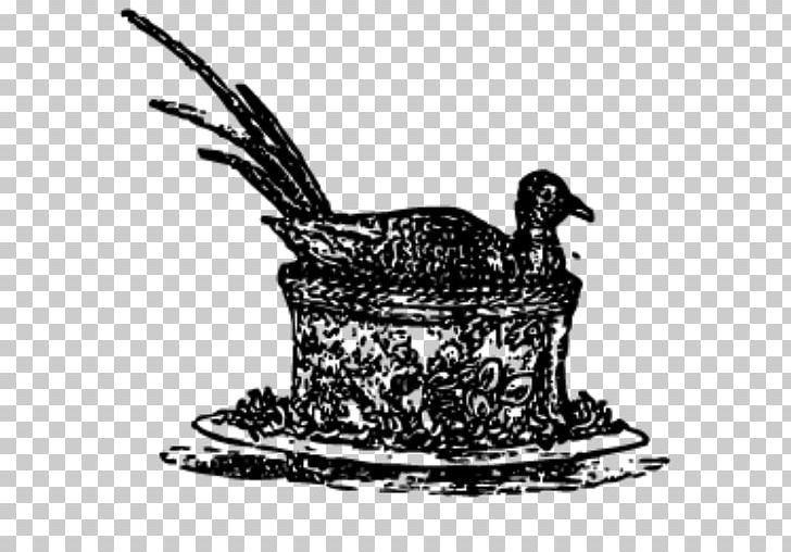 Duck Chicken Logo Feather Beak PNG, Clipart, Animals, Beak, Bird, Black And White, Chicken Free PNG Download