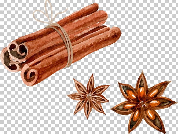 Euclidean Watercolor Painting Star Anise PNG, Clipart, Cinnamomum Verum, Cinnamon, Copper, Download, Encapsulated Postscript Free PNG Download