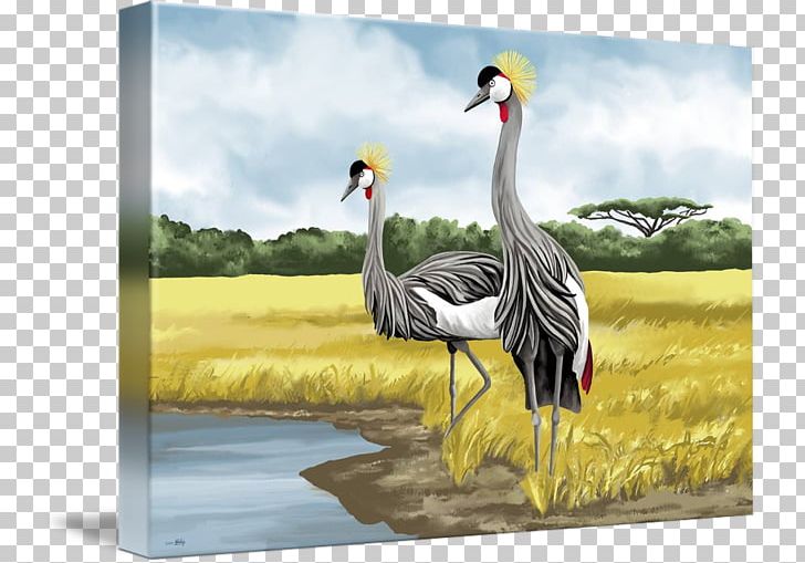 Grey Crowned Crane Bird Art Painting PNG, Clipart, Anatidae, Animal, Art, Beak, Bird Free PNG Download