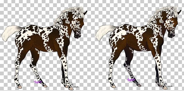 Mustang Foal Stallion Colt Halter PNG, Clipart,  Free PNG Download