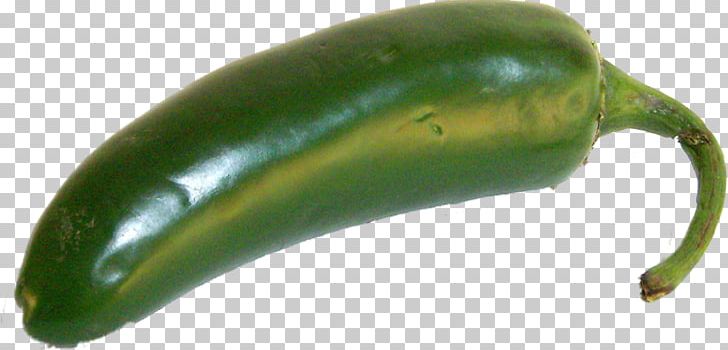 Serrano Pepper Jalapeño Poblano Pasilla Cayenne Pepper PNG, Clipart, Bell Pepper, Bell Peppers And Chili Peppers, Cayenne Pepper, Chili Pepper, Food Free PNG Download