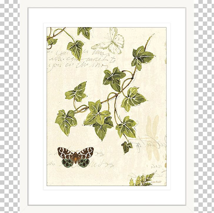 Art Painting Ivy Frames Drawing PNG, Clipart, Branch, Butterfly, Canvas, Decoupage, Drawing Free PNG Download