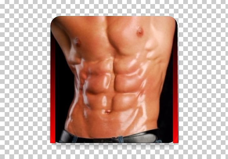 Bodybuilding Exercise Book Microsoft Physical Fitness PNG, Clipart, 6 P, Abdomen, Abs, Abs Workout, Arm Free PNG Download