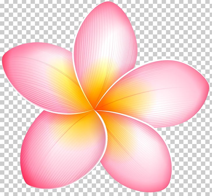 Blog Pink Flowers PNG, Clipart, Blog, Clip Art, Computer Wallpaper, Flower, Flowers Free PNG Download