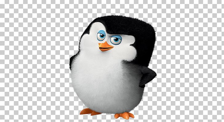 Madagascar Penguins PNG, Clipart, Madagascar Penguins Free PNG Download