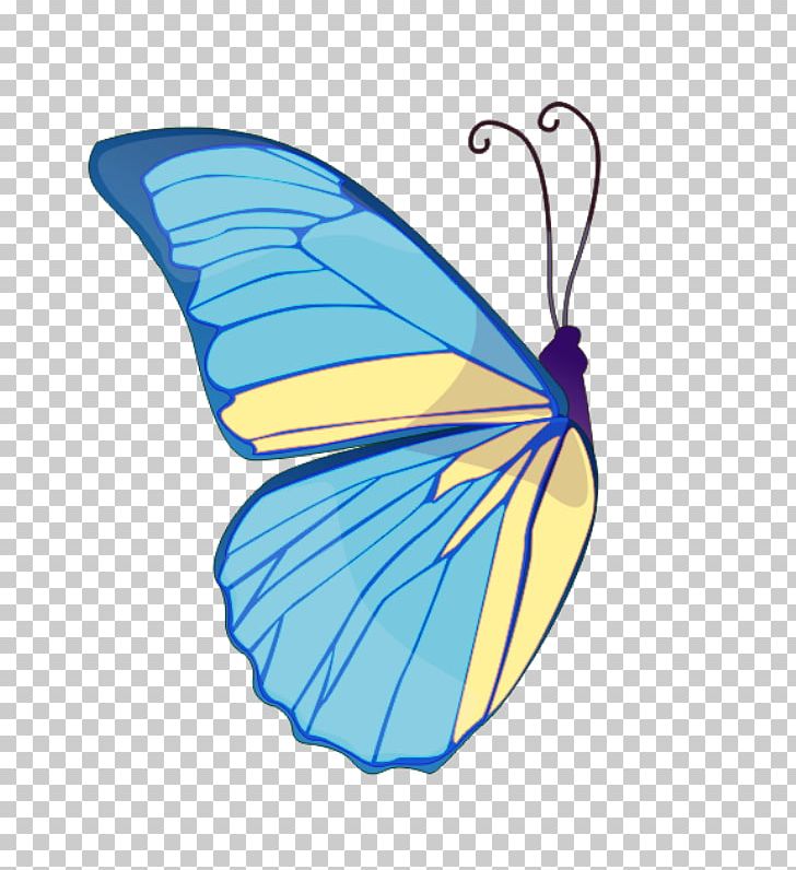 Monarch Butterfly Drawing PNG, Clipart, Arthropod, Blue Butterfly, Brush Footed Butterfly, Butterflies And Moths, Butterfly Free PNG Download