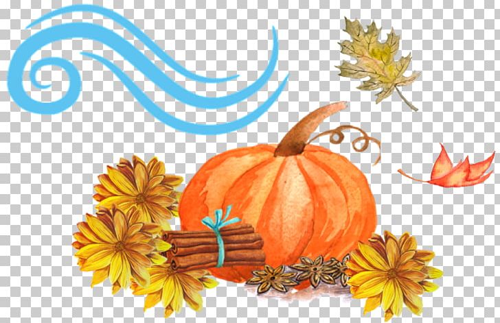 Pumpkin Calabaza Winter Squash Gourd Cucurbita PNG, Clipart, Calabaza, Cucurbita, Flower, Fruit, Gourd Free PNG Download