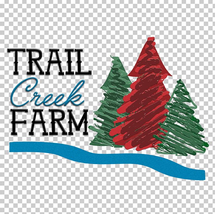 Christmas Tree Lindale Trail Creek Farm PNG, Clipart, Brand, Christmas, Christmas Decoration, Christmas Ornament, Christmas Tree Free PNG Download