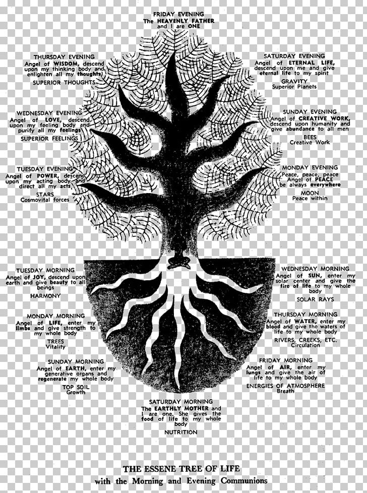 Essenes Tree Of Life Qumran From Enoch To The Dead Sea Scrolls Kabbalah PNG, Clipart, Angel, Binah, Black And White, Essenes, God Free PNG Download