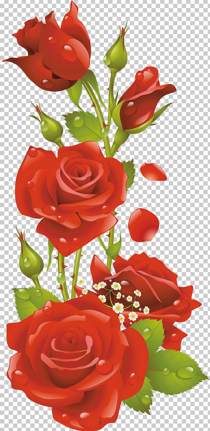 Frames Flower PNG, Clipart, Cut Flowers, Desktop Wallpaper, Floral Design, Floribunda, Floristry Free PNG Download