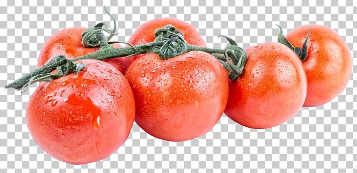 Plum Tomato Aubrac Vegetarian Cuisine PNG, Clipart, Aubrac, Bush Tomato, Diet Food, Food, Fruit Free PNG Download