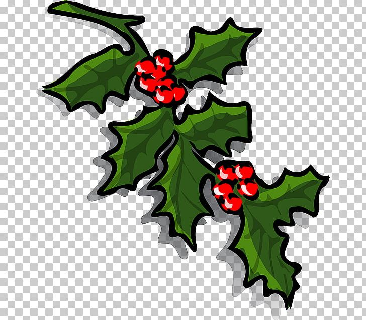 Common Holly PNG, Clipart, Aquifoliaceae, Aquifoliales, Artwork, Branch, Christmas Free PNG Download