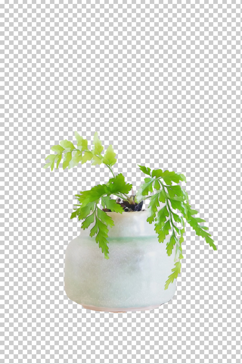Flowerpot Houseplant Herb M-tree Tree PNG, Clipart, Flowerpot, Herb, Houseplant, Mtree, Paint Free PNG Download