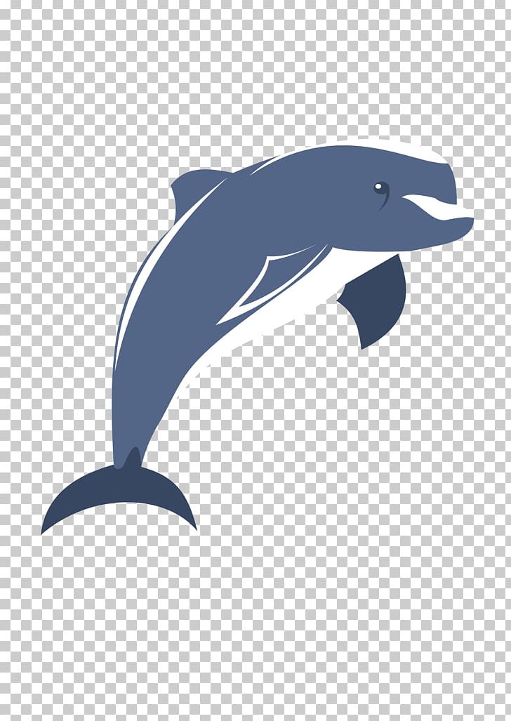 Common Bottlenose Dolphin Tucuxi Wholphin Short-beaked Common Dolphin Porpoise PNG, Clipart, Animals, Blue, Cartoon, Cartoon Character, Cartoon Eyes Free PNG Download