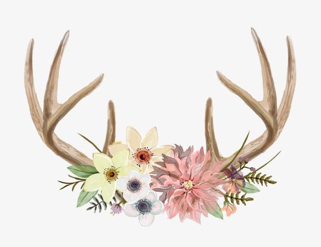 Decorative Antlers PNG, Clipart, Antlers, Antlers Clipart, Decoration, Decorative Clipart, Flowers Free PNG Download