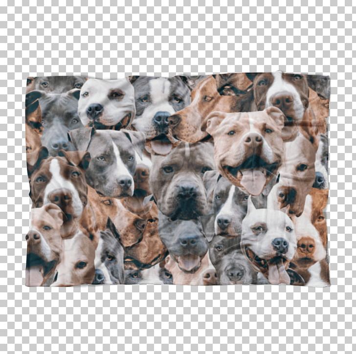 Dog Breed Puppy Canidae Snout PNG, Clipart, Animal, Animals, Breed, Canidae, Carnivora Free PNG Download