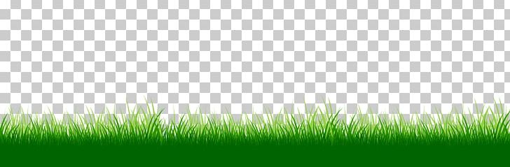 Lawn Grasses Desktop Energy Grassland PNG, Clipart, Atmosphere, Commodity, Computer, Computer Wallpaper, Desktop Wallpaper Free PNG Download