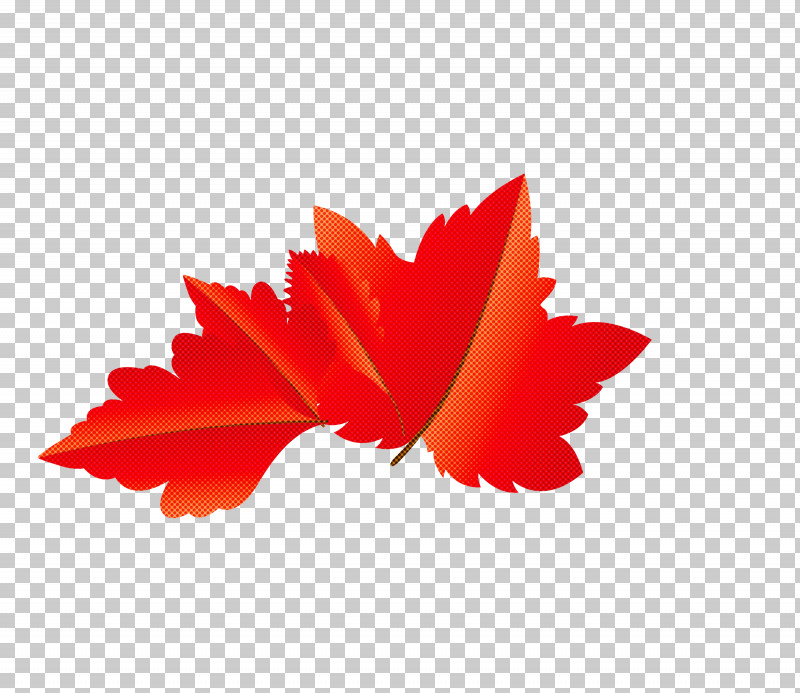 Maple Leaf PNG, Clipart, Autumn Leaf, Biology, Cartoon Leaf, Fall Leaf, Fern Free PNG Download