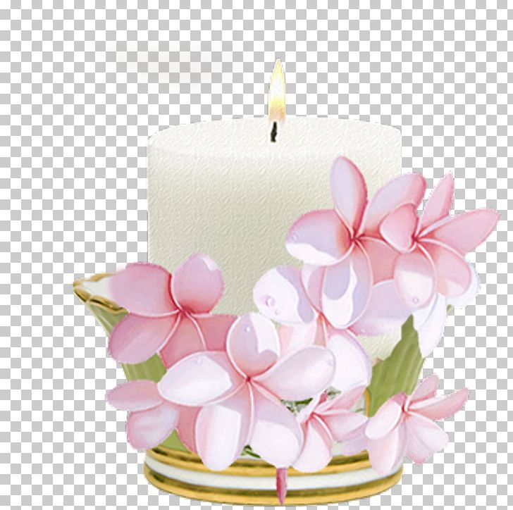 Candle Software Versioning Birthday PNG, Clipart, Adelaide Hiebel, Birthday, Candle, Cut Flowers, Data Free PNG Download