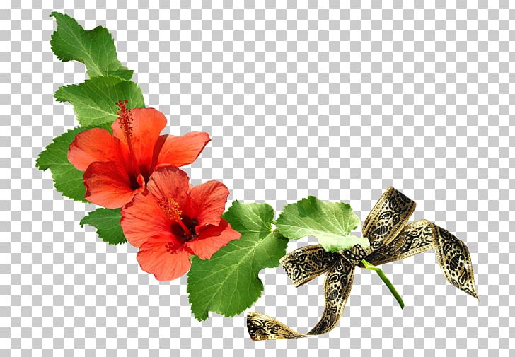 Flower PNG, Clipart, Annual Plant, Floral Design, Floral Designs, Flower, Flowering Plant Free PNG Download