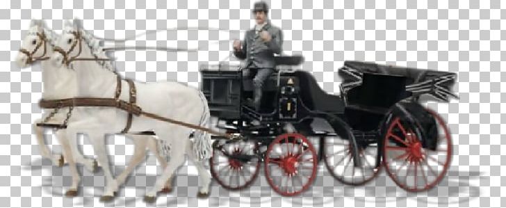 Horse Harnesses Carriage Wedding Horse And Buggy PNG, Clipart, Animals, Anniversary, Bicycle Accessory, Bridle, Chariot Free PNG Download