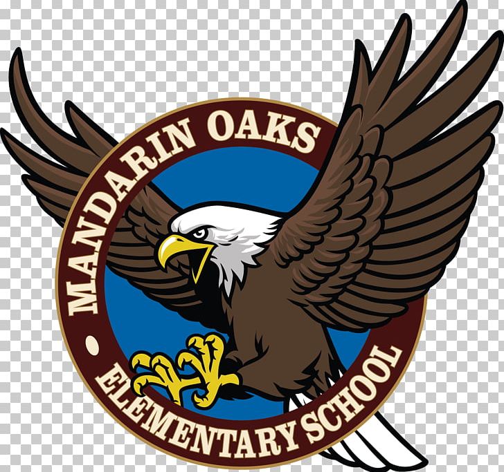 Mandarin Oaks Elementary School Bald Eagle PNG, Clipart, Accipitriformes, Beak, Bird, Bird Of Prey, Brand Free PNG Download