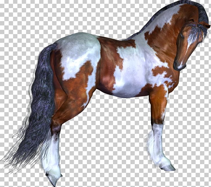 Mustang Stallion Pony Animal Horse Harnesses PNG, Clipart, 3d Computer Graphics, Animal, Bridle, Halter, Horse Free PNG Download