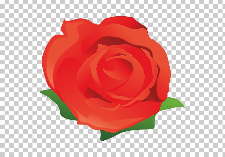 Rose Cartoon PNG, Clipart, Cartoon, China Rose, Cut Flowers, Drawing, Floribunda Free PNG Download