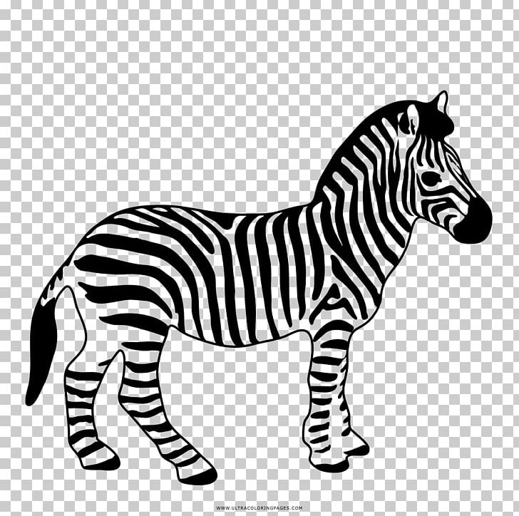 Safari Ltd Wildlife Zebra Horse Foal PNG, Clipart, Animal, Animal Figure, Animals, Bengal Tiger, Big Cats Free PNG Download