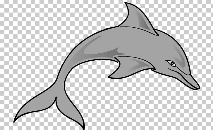 Spinner Dolphin Diving Dolphins All About Dolphins PNG, Clipart, Beak, Bottlenose Dolphin, Computer Icons, Fauna, Grey Free PNG Download