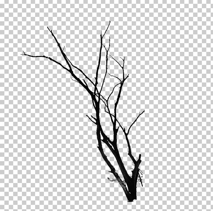 Twig Branch Tree PNG, Clipart, Angle, Black, Black And White, Branch, Branches Free PNG Download