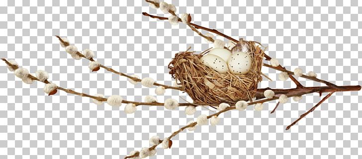 Willow Palm Sunday Easter PNG, Clipart, Bird, Bird Nest, Branch, Computer, Easter Free PNG Download