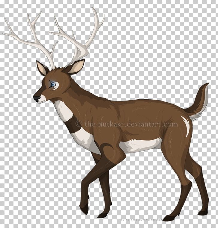 Reindeer Elk White-tailed Deer Red Deer PNG, Clipart, Animal, Antler, Cartoon, Deer, Elk Free PNG Download