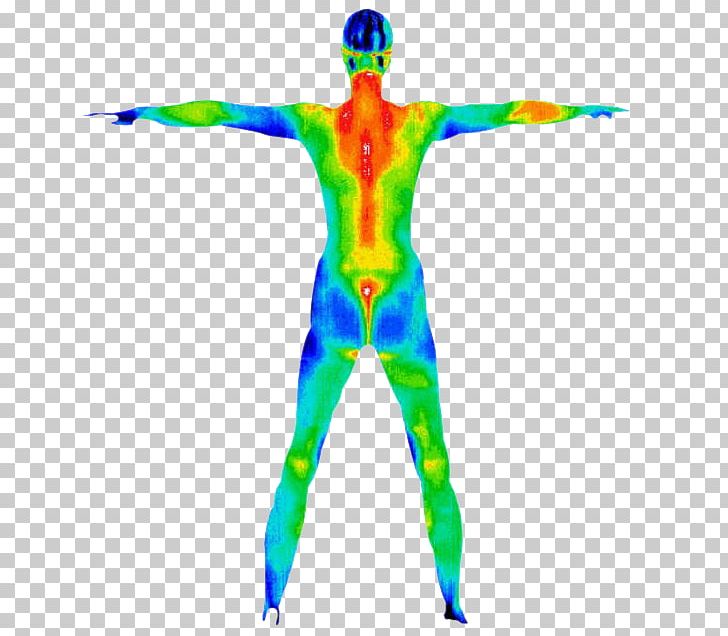 Thermography Sunshine Healing Arts PNG, Clipart, Acupuncture, Amp, Arm, Cancer Screening, Cell Free PNG Download