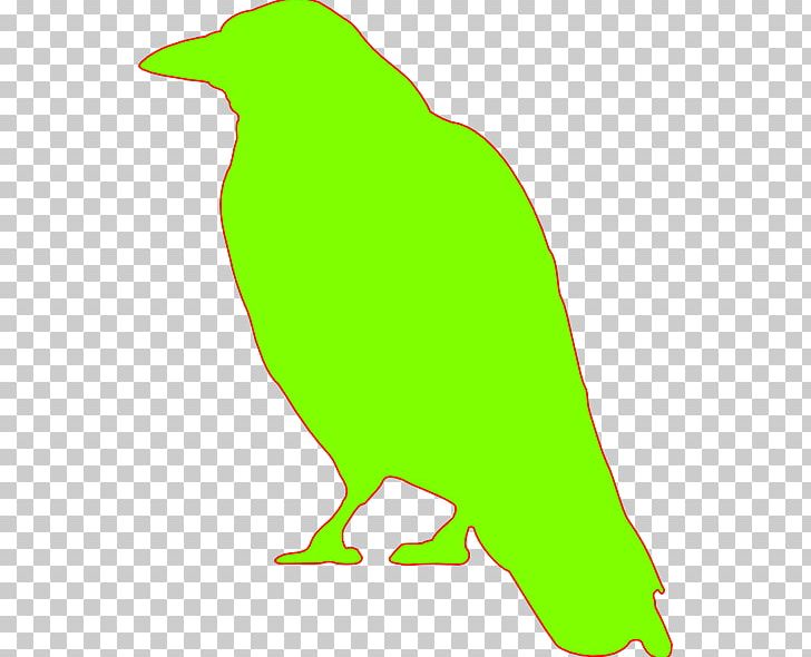 Bird Crow Common Raven PNG, Clipart, Animal Figure, Animals, Art, Artwork, Beak Free PNG Download