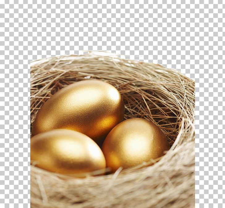 Creativity PNG, Clipart, Animals, Basket, Bird Nest, Coin, Commodity Free PNG Download