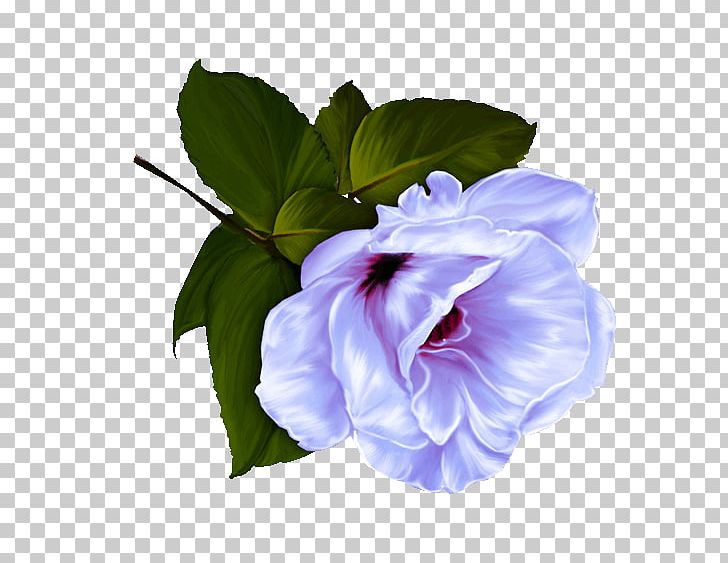 Flower Garden Roses Desktop PNG, Clipart, Aspect Ratio, Computer Wallpaper, Datura, Decoupage, Display Resolution Free PNG Download