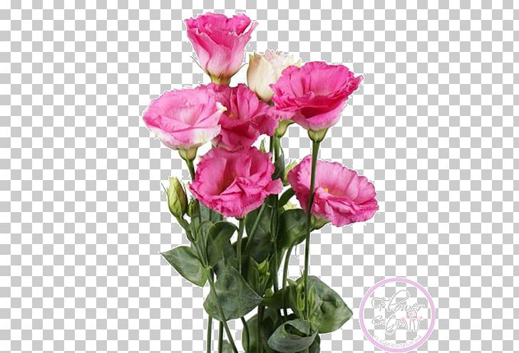 Garden Roses Prairie Gentian Cut Flowers Flower Bouquet PNG, Clipart, Annual Plant, Artificial Flower, Blume, Cut Flowers, Floral Design Free PNG Download