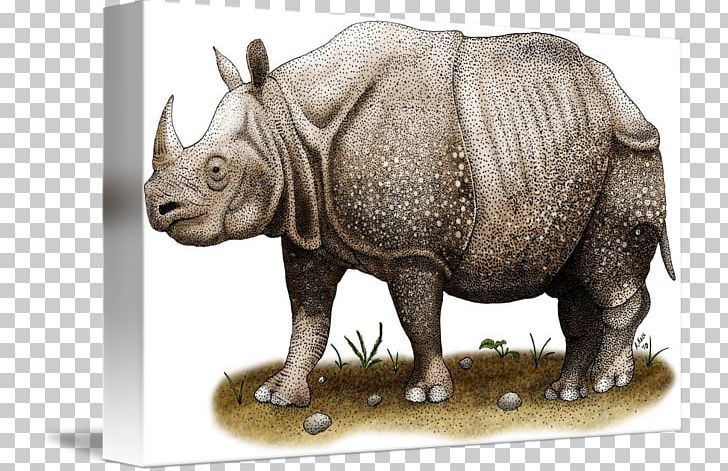 Javan Rhinoceros Horn Indian Rhinoceros White Rhinoceros Antelope PNG, Clipart, Animal, Antelope, Blackbuck, Black Rhinoceros, Ceratotherium Free PNG Download