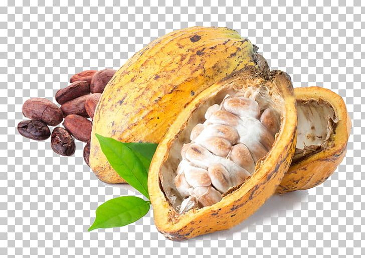 cacao beans clipart images