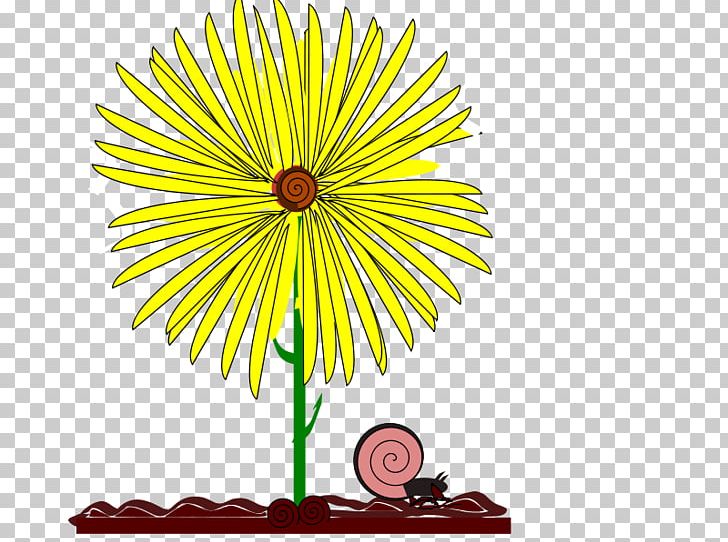 Flower Drawing Yellow PNG, Clipart, Chrysanths, Common Daisy, Common Sunflower, Cut Flowers, Daisy Free PNG Download