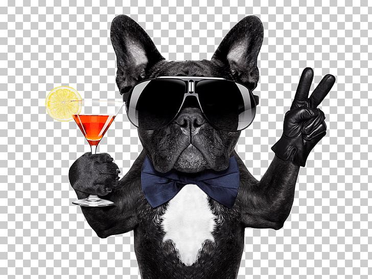 French Bulldog Cocktail Mexican Martini PNG, Clipart, Alcoholic Drink, Bellini, Bulldog, Carnivoran, Cocktail Free PNG Download