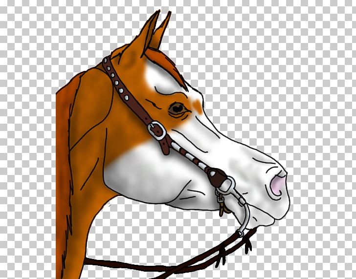 Horse Stallion Foal Snout Mule PNG, Clipart, Bit, Bridle, Colt, Donkey, Drawing Free PNG Download