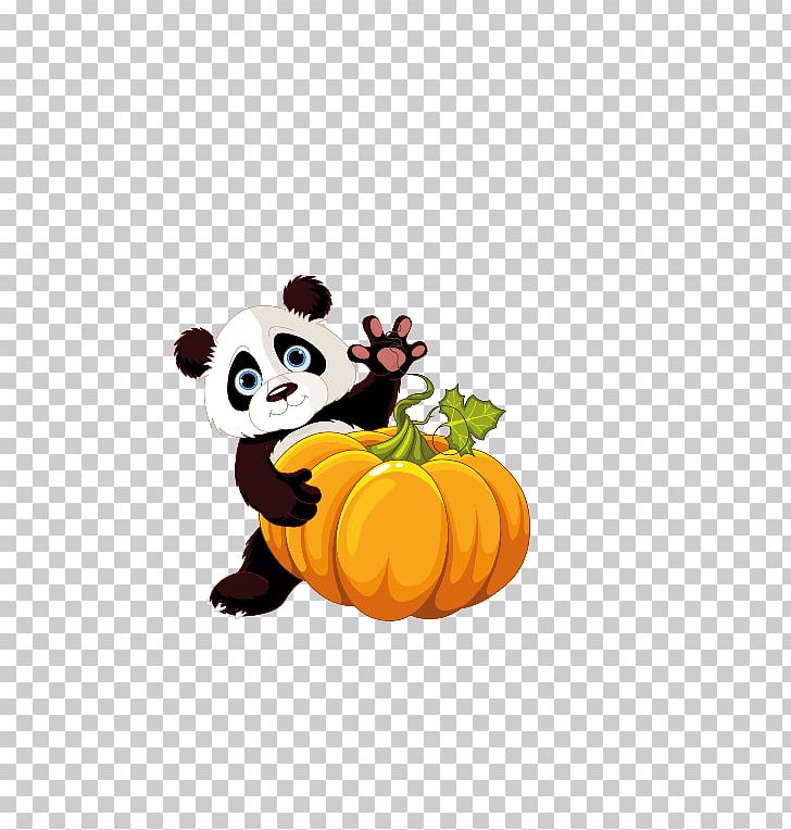 Giant Panda Pumpkin PNG, Clipart, Carnivoran, Cucurbita Maxima, Drawing, Food, Fruit Free PNG Download