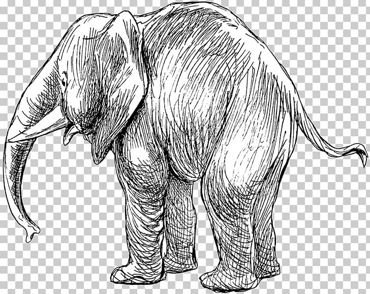 Indian Elephant African Elephant Drawing Cetacea Sketch PNG, Clipart, African Elephant, Animal, Animal Figure, Black And White, Carnivoran Free PNG Download