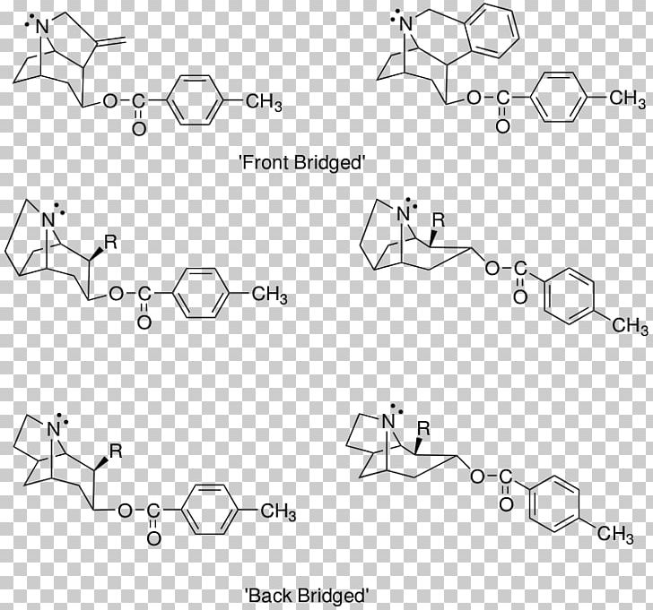 Structural Analog Biosynthesis Of Cocaine Tropane Lidocaine PNG, Clipart, Analog, Angle, Area, Auto Part, Benzocaine Free PNG Download