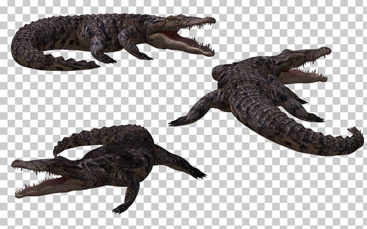 Crocodiles Alligator PNG, Clipart, Alligator, American Crocodile, Animal, Animal Figure, Animals Free PNG Download