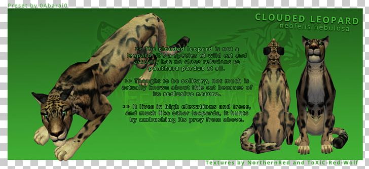 Giraffe Felidae Clouded Leopard Art PNG, Clipart, Animals, Art, Artist, Carnivora, Carnivoran Free PNG Download