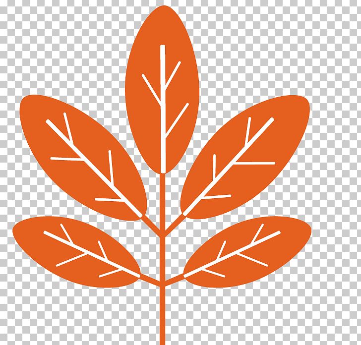 Plant Leaves PNG, Clipart, Art, Autumn, Branch, Cartoon, Clip Art Free PNG Download