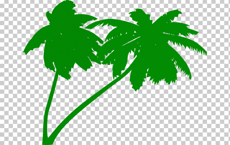 Palm Tree PNG, Clipart, Arecales, Flower, Green, Leaf, Palm Tree Free PNG Download